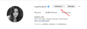 Followed Angelina Jolie's Instagram Account